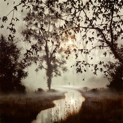 A Day to Dream by John Waterhouse - Original Painting on Stretched Canvas sized 35x35 inches. Available from Whitewall Galleries